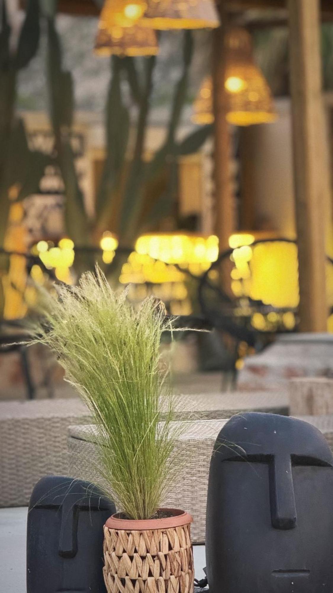 La Casa Di Lusso N4 - Adults Only Villa Kolymbia Eksteriør billede